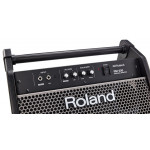 Roland PM 200