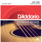 D'Addario EJ17 Phosphor...