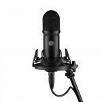 Voyage Audio Spatial Mic Dante