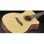 Framus Legacy Series FF 14 SV VSNT CE