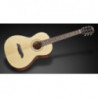 Framus FR FP 14 SV VSNT E