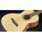 Framus FR FP 14 SV VSNT E