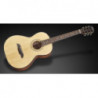Framus FR FP 14 SV VNT E