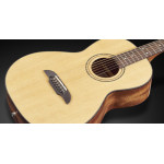 Framus FR FP 14 SV VNT E