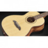 Framus FR FP 14 SV VNT E