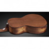 Framus FR FP 14 SV VNT E