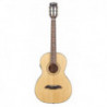 Framus FR FP 14 SV VNT E
