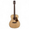 Framus FR FG 14 SV VSNT