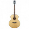 Framus FR FJ 14 SMV VNT