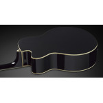 Framus FR FJ 14 S BK CE
