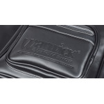 Warwick Genuine Handmade Leather Bag - Triumph 4- & 5-String