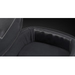 Warwick Genuine Handmade Leather Bag - Triumph 4- & 5-String