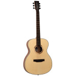 Tanglewood TS3