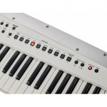 Roland AX-Edge Keytar White