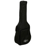 Ever Play 810B Bass Guitar