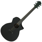 IBANEZ AEWC621-BOT