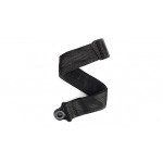 Planet Waves 50BAL00