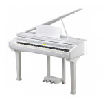 KURZWEIL KAG100 WHP
