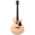 Furch Violet GC-EM LR Baggs...