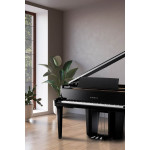 Kawai NV12