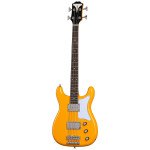 Epiphone Newport Bass CA