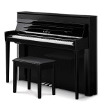 Kawai NV6