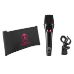 Austrian Audio OD303