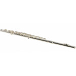 Stagg WS-FL211S