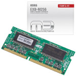 Korg EXB 256MB