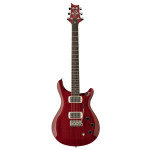 PRS SE DGT Standard Moons...