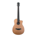 Furch Pioneer-CM CNR Active...