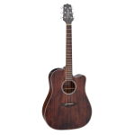 Takamine GD21CE-SM