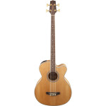 Takamine GB72CE-NAT