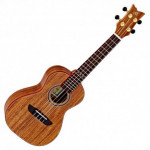 Ortega RUACA-CC