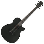 Ibanez AEG621-BOT