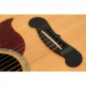 Planet Waves PWPS9