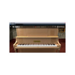Steinberg The Grand 3