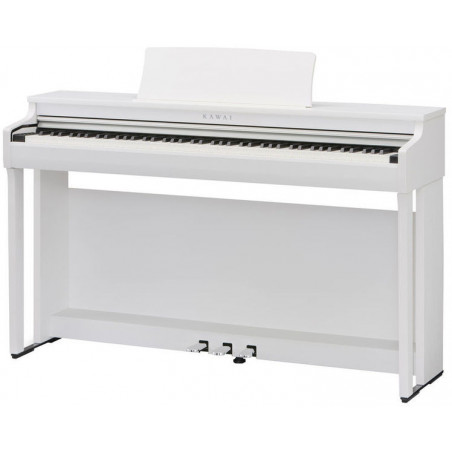 Kawai CN29 SW