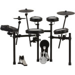 Roland TD313 + Rama...