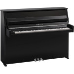 Yamaha B10 PEC