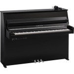 Yamaha B10 SC3 PEC