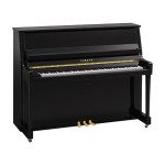 Yamaha B20 PE