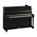 Yamaha B20 SC3 PE