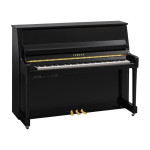 Yamaha B20 TC3 PE