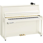 Yamaha B20 SC3 PWH