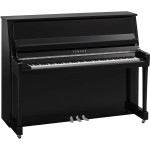 Yamaha B20 PEC