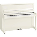 Yamaha B20 PWHC