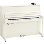 Yamaha B20 SC3 PWHC