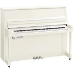 Yamaha B20 TC3 PWHC