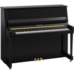 Yamaha B30 PE